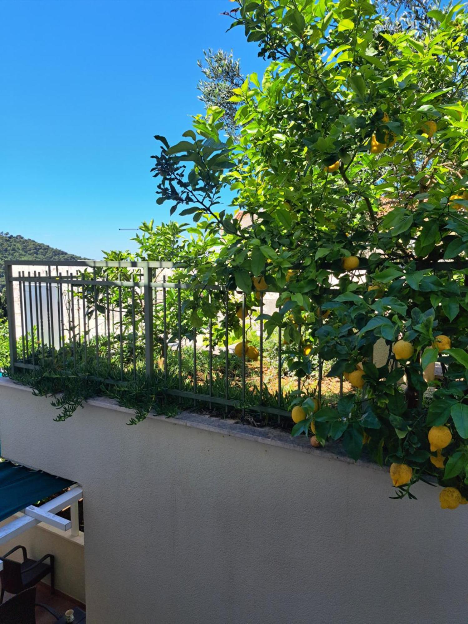Apartments Margaretic Dubrovnik Exterior photo